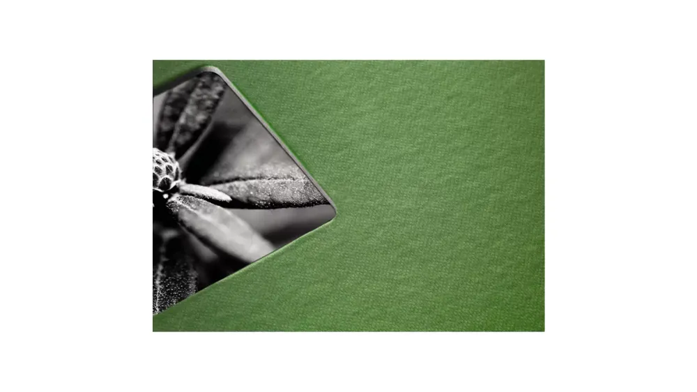 Hama Fine Art 00094870 Spiralalbum (B x H) 36cm x 32mm Apfelgrün 50 Seiten