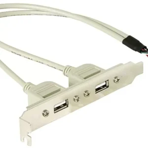 Delock Slotbracket 1x internal USB 5pin > 2x USB2.0 external PC-Slotblech 1St.